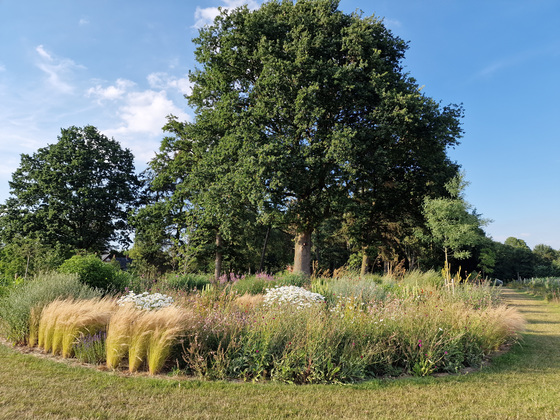 Gräsergarten Gräsergarten