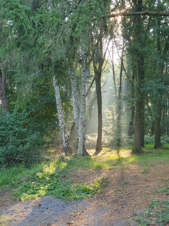 Lichtstimmung Lichtstimmung