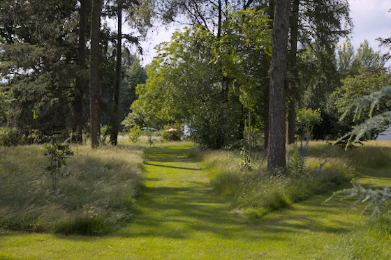 Park Bild des Parkteils