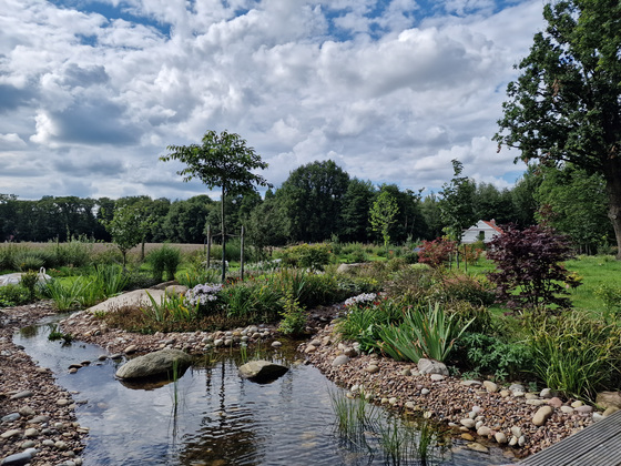 Sommer am Bachlauf Sommer am Bachlauf