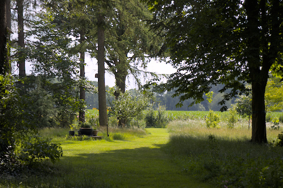Rasenwege Rasenwege