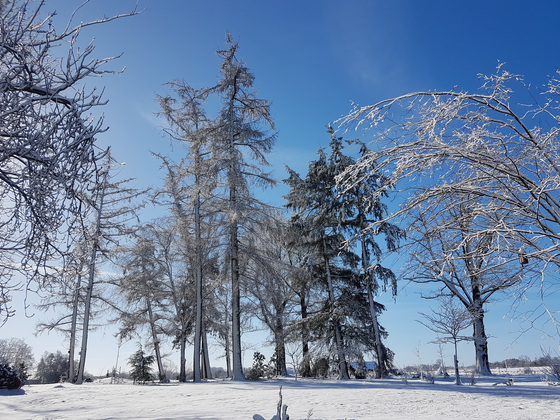 Winterlandschaft Winterlandschaft