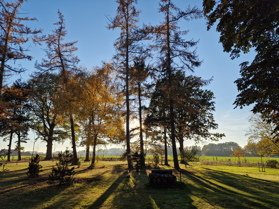 Gegenlicht im Herbst Gegenlicht