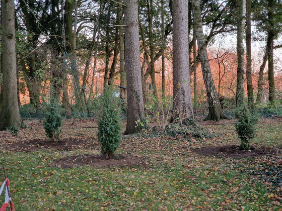 Herbst im Wald Herbst im Wald